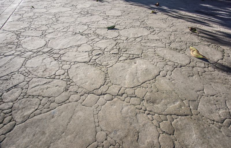 Decorative Concrete Repair in Santa Rosa, CA