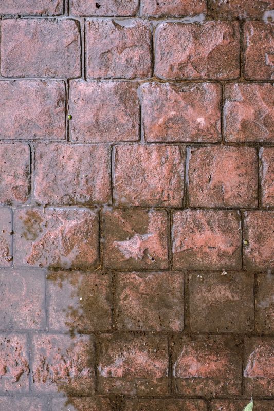 Decorative Concrete Repair in Castle Rock, CO