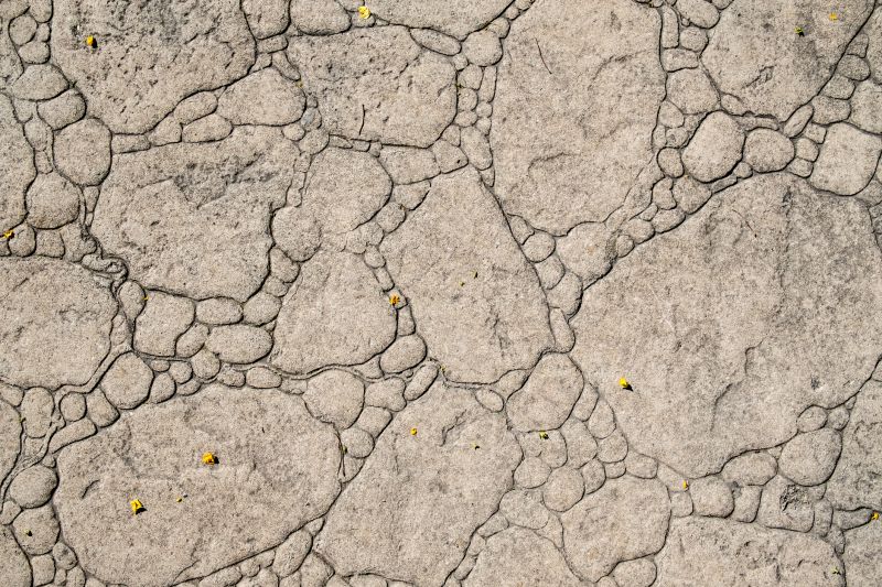 Decorative Concrete Repair in Pearland, TX